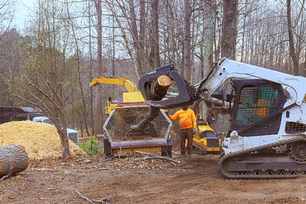 Tree stump completely removed and ground down in Bay Village, OH, residential yard