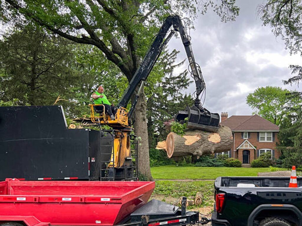 Crane removing a large tree trunk safely from a residential property in Bay Village, OH