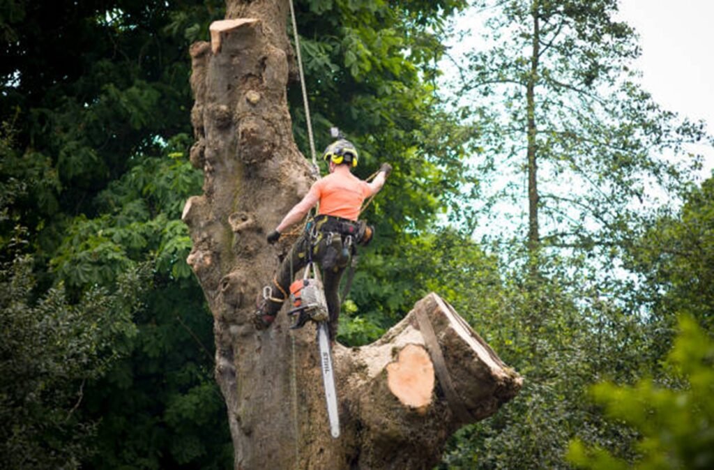 An arborist cutting a large tree trunk using a chainsaw during tree removal in Bay Village, OH