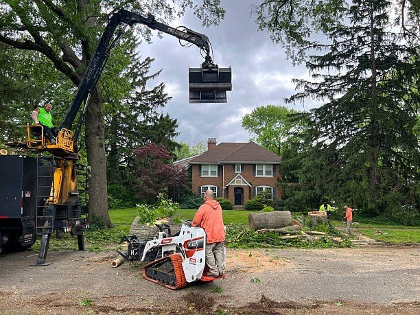 Tree service crew using a crane and equipment to remove large branches during tree trimming in Bay Village, OH