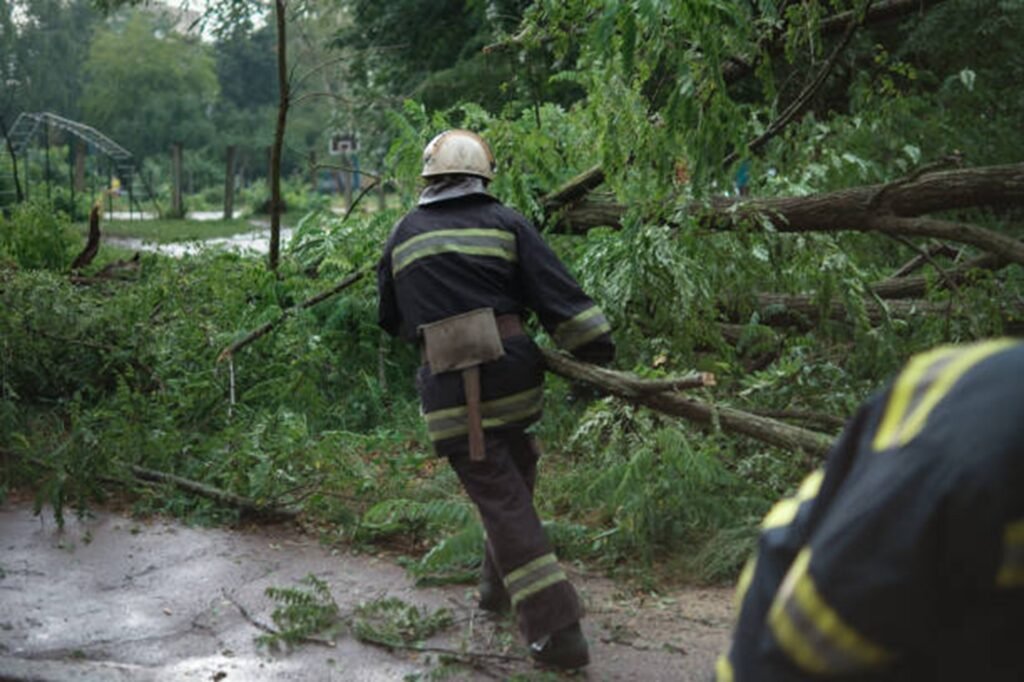 Tree service worker clearing storm debris and fallen branches from the roadway in Bay Village, OH