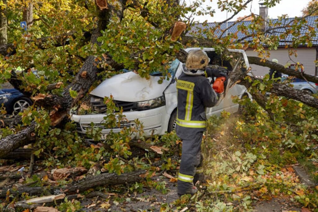 Emergency tree removal crew clearing fallen tree from damaged vehicle after storm in Bay Village, OH