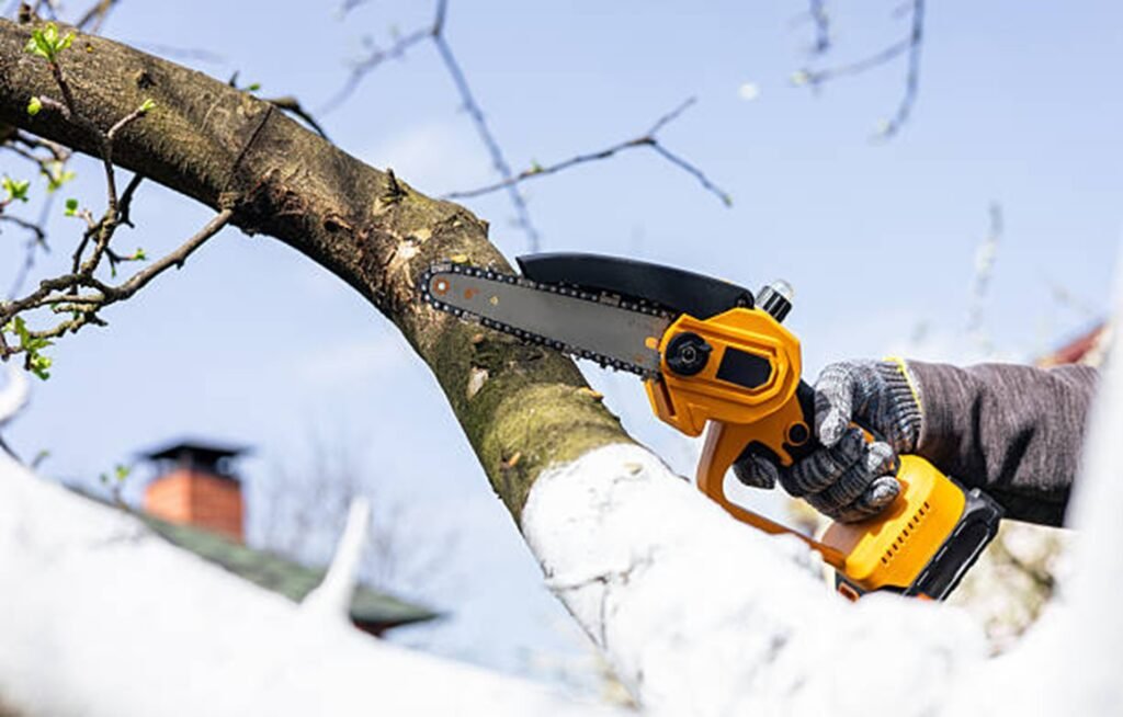 Tree trimming service cutting high branches using a power saw in Bay Village, OH