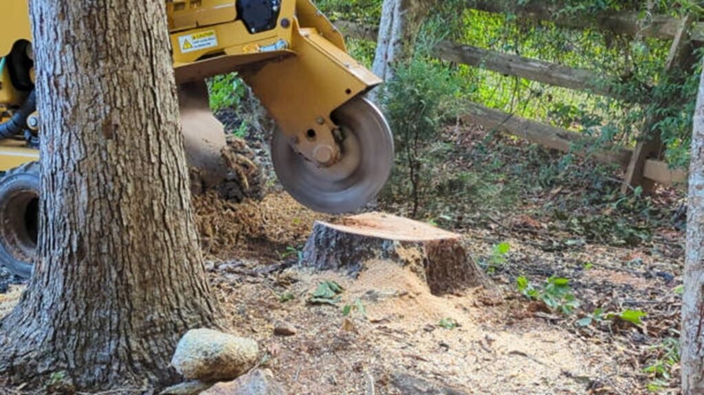 Stump grinding machine removing tree stump and debris in residential yard in Bay Village, OH