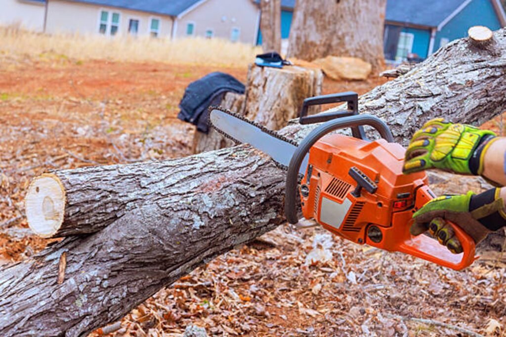 Chainsaw cutting a large tree trunk during a professional tree removal service in Bay Village, OH