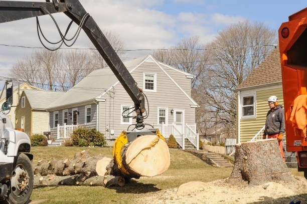 Crane lifting a heavy tree trunk during emergency tree removal service in Bay Village, OH