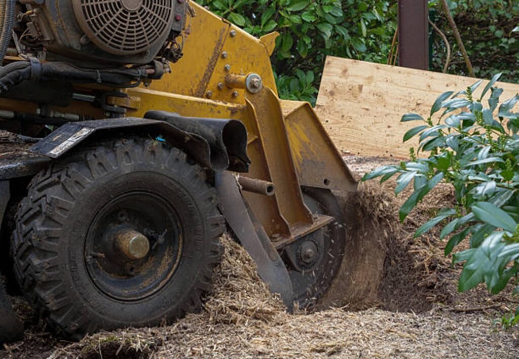 Professional stump grinding equipment removing a tree stump in Bay Village, OH