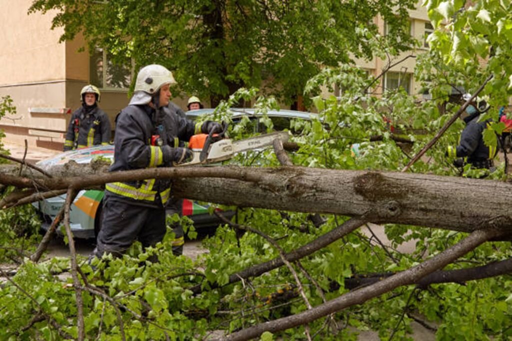 Emergency tree removal crew handling fallen tree and hazardous branches in Bay Village, OH