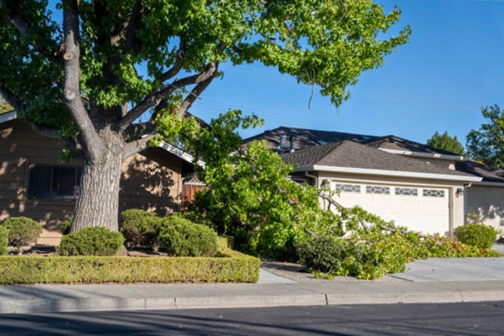 Fallen tree blocking driveway and damaging property during storm cleanup in Bay Village, OH